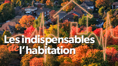 Les indispensables de l
