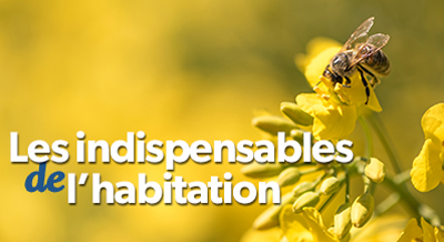 Les indispensables de l